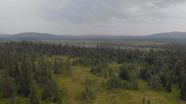 Aerial Dra Skott Avslöjar Den Lugna Arktiska Naturen Den Vintergröna — Stockvideo