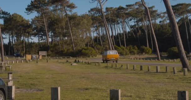 フランスのArcachon湾の近くにそびえ立つ木がある道路で古いヴァンドライブ 幅の広いスローモーション — ストック動画