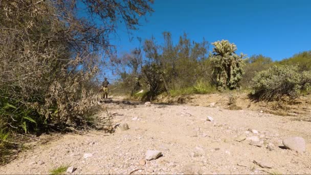 Man Hikes Backpack Tent Dirt Path Desert — Stock Video