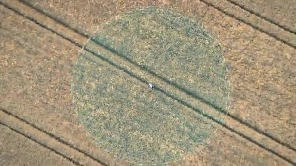 科学家用全息图面板扫描农田以寻找新植树的未来主义概念 无人机分析了地面 智能农业动画 未来的技术 升空俯冲 — 图库视频影像