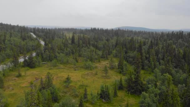Asphalt Road Verdant Forest Mountain Landscape Jamtland Sweden Inglés Aéreos — Vídeo de stock