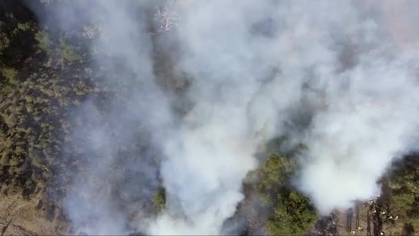 Aerial Kouř Tyčí Nad Plameny Divokého Ohně — Stock video