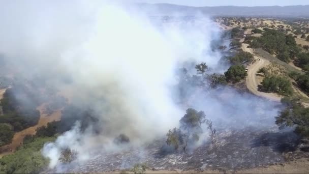 California Fire Burns Sage Brush — Stock Video