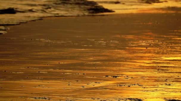 Oranžová reflexní záře západu slunce na písečné pláži se znečištěním vstupujícím do vln oceánu