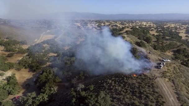 Bombeiros Acendem Uma Queimadura Controle Topo Uma Crista — Vídeo de Stock