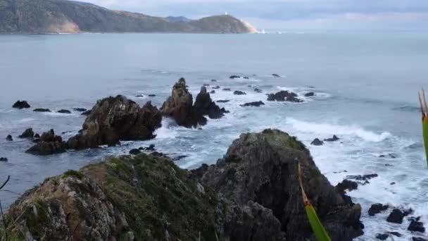 Tempo Entrada Selvagem Porto Wellington Ondas Oceano Colidindo Com Rochas — Vídeo de Stock