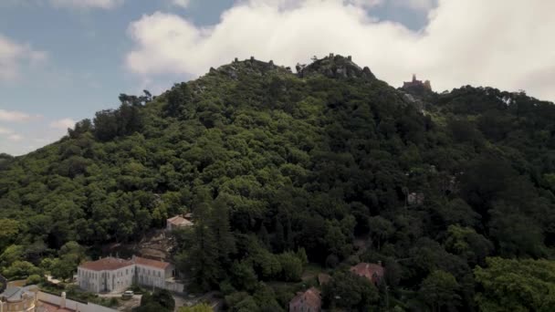 緑豊かな森と山頂の城や宮殿で覆われたシントラの丘の空中上昇ショット — ストック動画