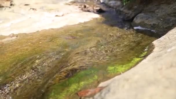 Het Water Stroomt Door Een Kalme Ondiepe Stroom Stenen Close — Stockvideo