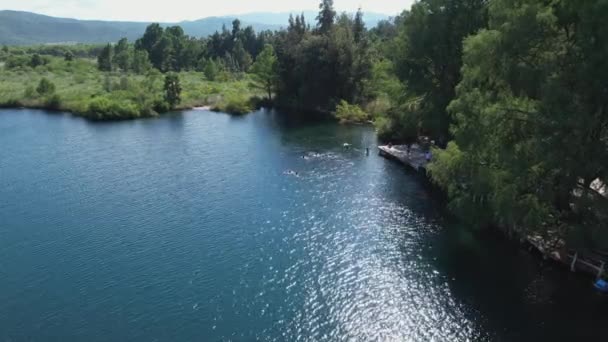 Люди Пірнають Плавають Озері — стокове відео
