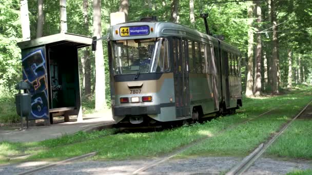 Lähtö Metro Juna Metsässä Laaja Laukaus — kuvapankkivideo
