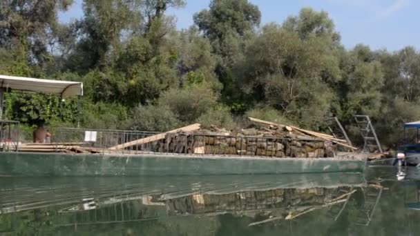 Barge Portant Des Billots Arbres Tirés Par Bateau Dans Lac — Video