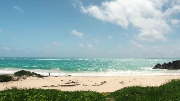 John Smith Bay Beach Smiths Parish Bermudy Breeze Day While — Stock video