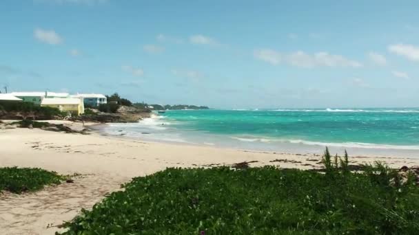 John Smith Bay Beach Smiths Parish Bermuda Vinddag Mens Orkansesongen – stockvideo