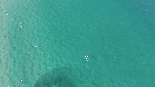 Вид Воздуха Серферов Плавающих Нетронутой Воде Пляжа Видеозапись Совершенно Кристально — стоковое видео
