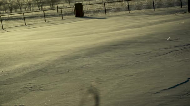 Prachovitý Sníh Unáší Povrchu Jedné Stopy Sněhu Kruté Zimní Bouři — Stock video