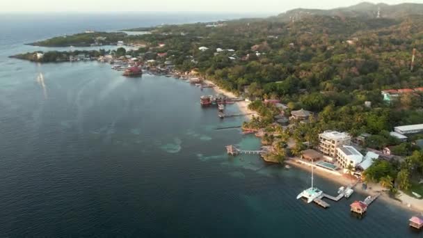 从空中俯瞰海岸 绿色的棕榈树 度假胜地 日落时在沙滩上 热带风景与棕榈树 蓝色的水 顶部视图 洪都拉斯亚特兰蒂斯罗阿坦岛 — 图库视频影像