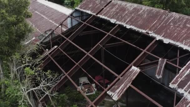 Ausrangierte Fahrzeuge Einer Alten Baufälligen Lagerhalle Dschungel Bilden Eine Großartige — Stockvideo