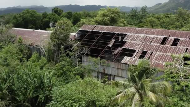 Légi felvétel egy elhagyatott gyárról a dzsungel szívében - rejtekhely és drogcsempész típusú koncepciók.