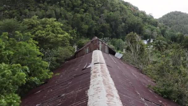 Passar Pelo Telhado Uma Antiga Fábrica Abandonada Interior Selva Porto — Vídeo de Stock