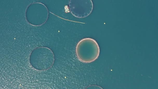 Vista Cima Para Baixo Fish Farm Fish Cages Westfjord Islândia — Vídeo de Stock