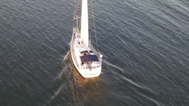 Buque Blanco Navegando Lago Pontchartrain Estuario Interior Nueva Orleans Luisiana — Vídeo de stock