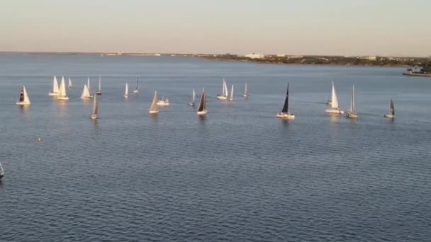 Dinghy Boats Adrift Lake Pontchartrain New Orleans Louisiana Een Zonnige — Stockvideo