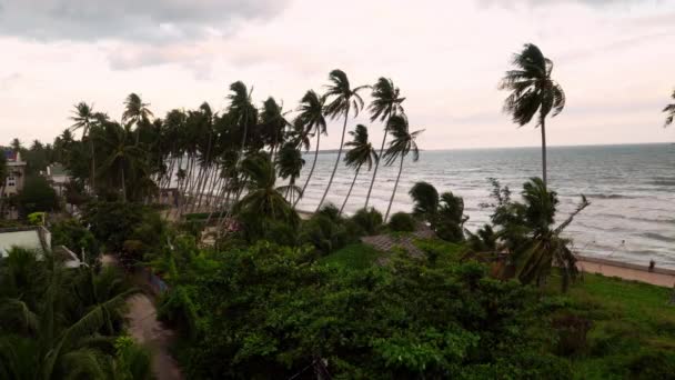 Palme Lungo Una Spiaggia Costiera Asia Con Onde Oceaniche — Video Stock