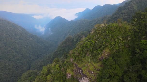 インドネシアのフローレス島の霧の空に対する鬱蒼とした森の丘の風景 空中射撃 — ストック動画