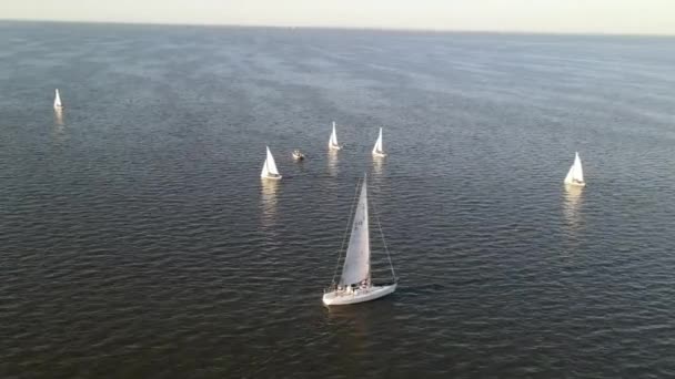 Luxusschiffe Auf Dem Pontchartrain See Der Nähe Von New Orleans — Stockvideo