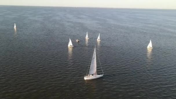 Luxury Ships Sailing At Lake Pontchartrain Near New Orleans In Louisiana, USA. - Aerial