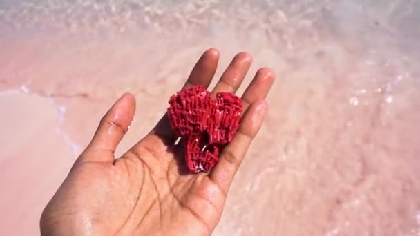 海の波を背景にしたビーチで女性の手に美しい赤珊瑚 閉じろ頭上だ — ストック動画