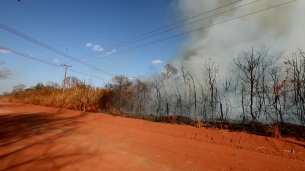 Feu Forêt Brûle Long Route Terre Rouge Dans Savane Brésilienne — Video