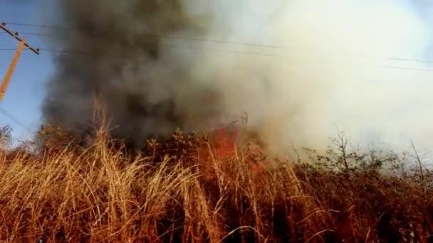 Dirigir Lentamente Longo Uma Estrada Enquanto Incêndio Queima Árida Savannah — Vídeo de Stock