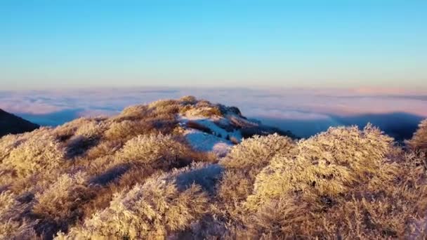 Flygfoto Över Frusen Natur Toppen Berget Monte Beigua Solnedgång Ligurien — Stockvideo