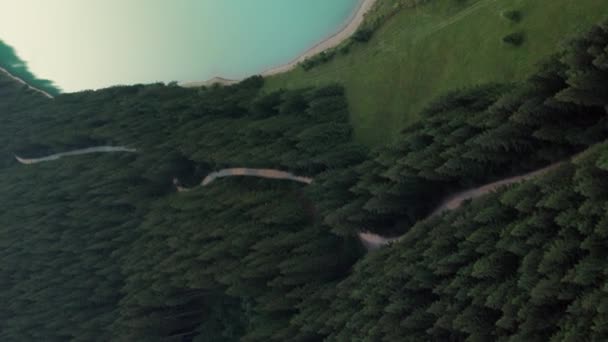 Vertikální Záběr Hustého Listí Horské Silnice Obklopující Přehradu Frumoasa Harghitě — Stock video