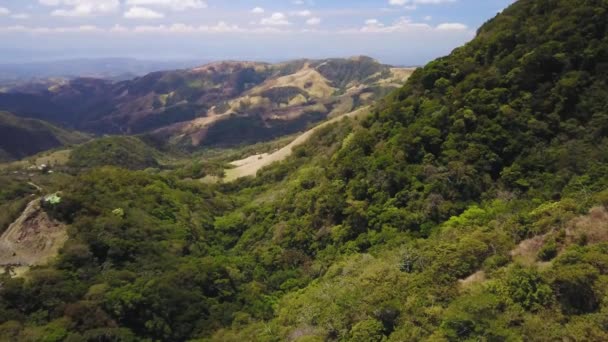Два Разных Состояния Леса Одной Раме Сухие Тропические Леса Воздушный — стоковое видео
