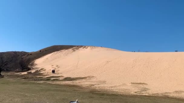 Dormir Dunes Ours National Bord Lac Par Une Journée Ensoleillée — Video