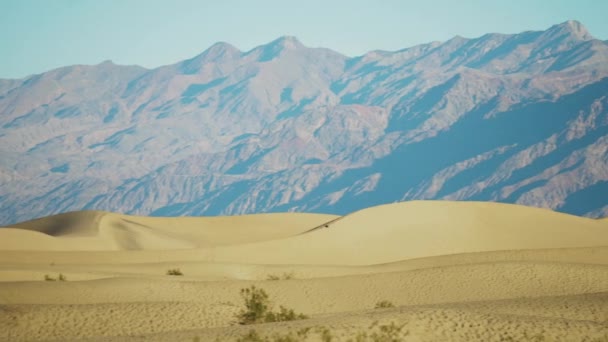 Mesquite Flat Sand Dunes Mountains Distant Background Pan Direita — Vídeo de Stock