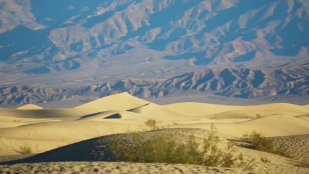 Mesquite Undulating Sand Dunes Mountains Distant Background Inglês Pan Direita — Vídeo de Stock