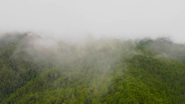 Hills Fog Cloudy Day Drone — Stock Video