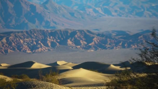 Rolling Mesquite Sand Dunes Mountains Distant Background Pan Esquerda — Vídeo de Stock