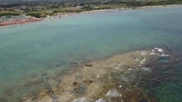 Specchiolla Playa Paisaje Marino Puglia Italia Revelar Inclinación Aérea Hacia — Vídeos de Stock