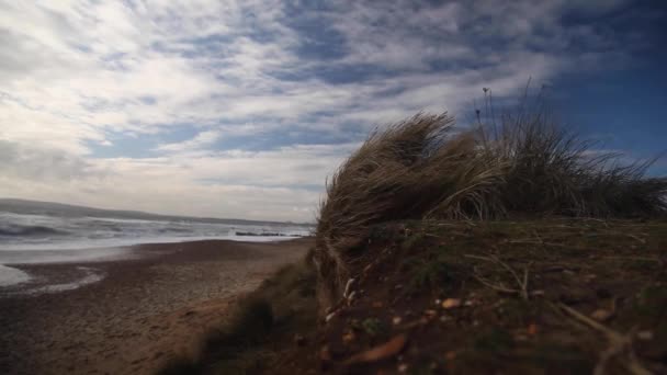 해변에서 바람부는 — 비디오