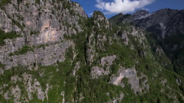 ハイキングや登山に最適な山 アルバニアの美しいアルプスの松の木と岩のピーク — ストック動画