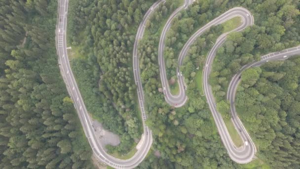 Route Venteuse Incurvée Traversant Montagne Paysage Forestier Busteni Transylvanie Roumanie — Video