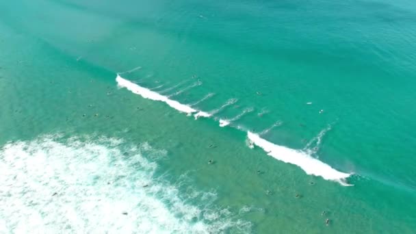 Группа Серферов Плывет Большой Океанской Волне Добраться Идеального Места Серфинга — стоковое видео