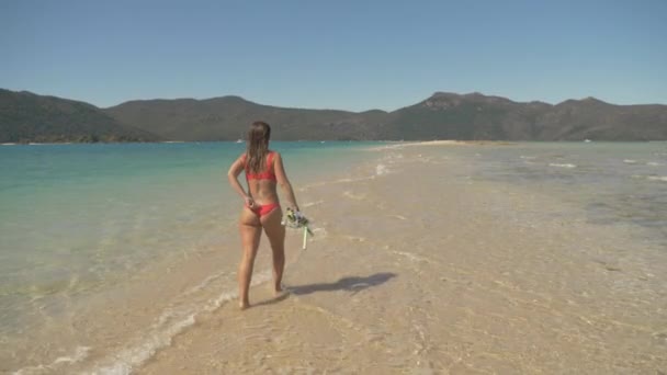 Back View Girl Walking Sand Bar Langford Island Whitsundays Islands — Stockvideo
