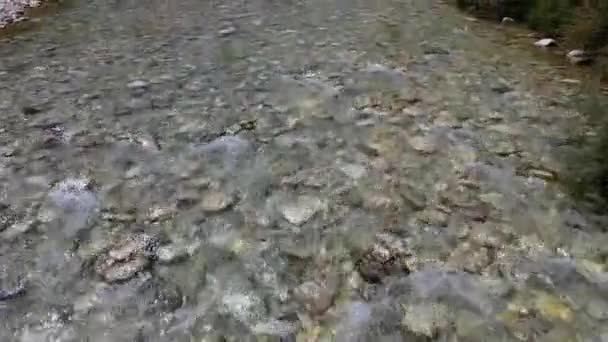 Riverbed Textuur Met Schoon Water Van Kreek Stromen Stenen Hoge — Stockvideo