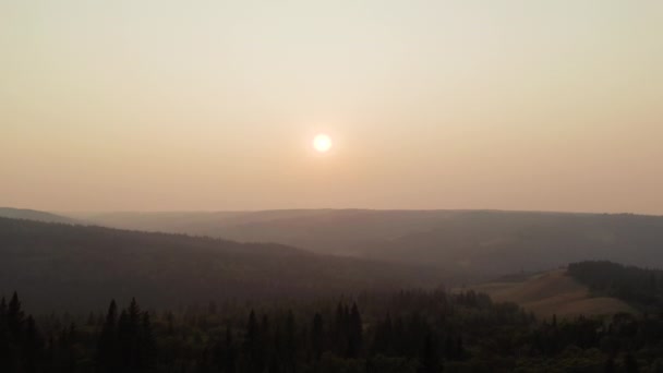 Drönaren Flyger Över Träd Bergsskogen Dimmig Solnedgång Luftremsa — Stockvideo