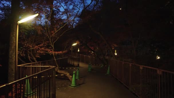 Old Park Street Kyoto Japón Por Noche Iluminado Por Luces — Vídeos de Stock